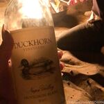 Stellar Loving OnlyFans Leaked