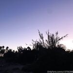 Stellar Loving OnlyFans Leaked