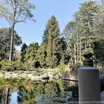 Stellar Loving OnlyFans Leaked