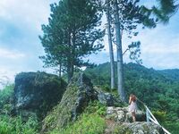 Nudekittycat OnlyFans Fit Sporty Leaked Asian Amateur Porn Album