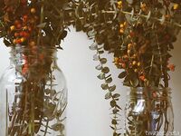 Zeta_bb OnlyFans/Twitter Leaked Model Grade Body Amateur Porn Album