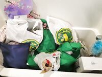 Gracie Greyyxo Baby Face White Skin OnlyFans Leaked Amateur Porn Album