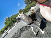 Gracie Greyyxo Baby Face White Skin OnlyFans Leaked Amateur Porn Album