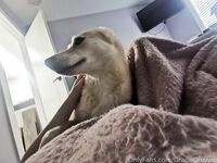 Gracie Greyyxo Baby Face White Skin OnlyFans Leaked Amateur Porn Album