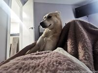 Gracie Greyyxo Baby Face White Skin OnlyFans Leaked Amateur Porn Album