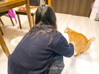 Japanese Asian Amateur college girls naked complication