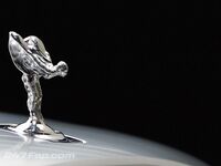 CuioGeo OnlyFans Leaks Dominant Bull Black Looking for  interracial Album