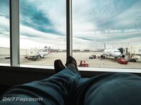 CuioGeo OnlyFans Leaks Dominant Bull Black Looking for  interracial Album