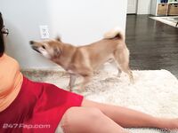 Ambiyah (Ambii Condo) OnlyFans Leaks Thai Asian Mid-sized Girl Porn Album 2