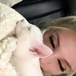 Chlostar (Angel) OnlyFans Chlo Star Blondie Slim Girl Gone Wild Porn Album