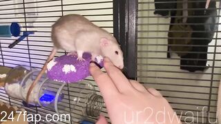 ur2dwaifu OnlyFans Leaked 7