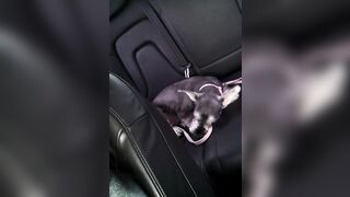 Beautiful Korean Amateur Asian Leaked by Boyfriend 5-6