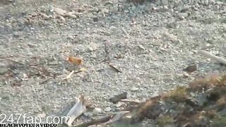 Naturist Attractive Woman Having Sex Outdoor Spy Nude Beach Couples 146