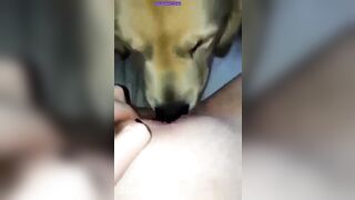 Kyleigh McDonough Social Media Leaked Amateur Nude Girl Porn Video4