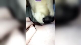 Kyleigh McDonough Social Media Leaked Amateur Nude Girl Porn Video4