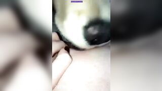 Kyleigh McDonough Social Media Leaked Amateur Nude Girl Porn Video4