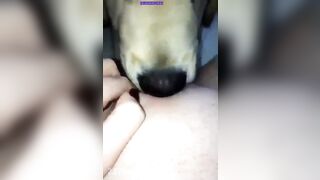 Kyleigh McDonough Social Media Leaked Amateur Nude Girl Porn Video4