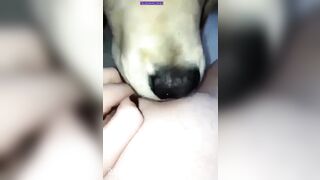 Kyleigh McDonough Social Media Leaked Amateur Nude Girl Porn Video4