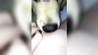 Kyleigh McDonough Social Media Leaked Amateur Nude Girl Porn Video4