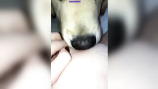 Kyleigh McDonough Social Media Leaked Amateur Nude Girl Porn Video4