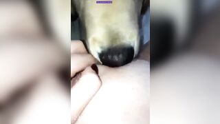 Kyleigh McDonough Social Media Leaked Amateur Nude Girl Porn Video4