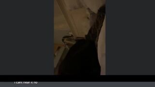 Julia Social Media Leaked Amateur Nude Girl Porn Video56