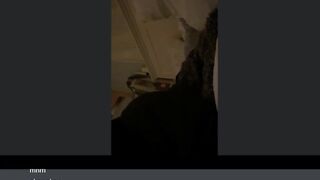 Julia Social Media Leaked Amateur Nude Girl Porn Video56