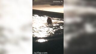 Sage Valente Social Media Leaked Amateur Nude Girl Porn Video1