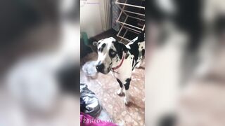 Aliyah Huland El Social Media Leaked Amateur Nude Girl Porn Video 2