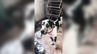 Aliyah Huland El Social Media Leaked Amateur Nude Girl Porn Video 2