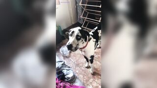 Aliyah Huland El Social Media Leaked Amateur Nude Girl Porn Video 2