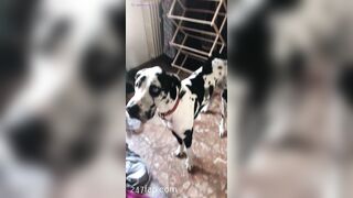 Aliyah Huland El Social Media Leaked Amateur Nude Girl Porn Video 2