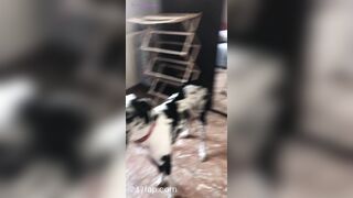 Aliyah Huland El Social Media Leaked Amateur Nude Girl Porn Video 2