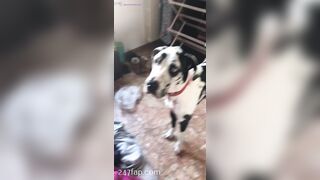 Aliyah Huland El Social Media Leaked Amateur Nude Girl Porn Video 2