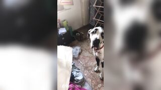 Aliyah Huland El Social Media Leaked Amateur Nude Girl Porn Video 2