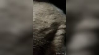 ubeayork (Bea York) OnlyFans Leaks Thick Girl Next Door Porn Video 293