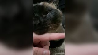 ubeayork (Bea York) OnlyFans Leaks Thick Girl Next Door Porn Video 293