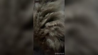 ubeayork (Bea York) OnlyFans Leaks Thick Girl Next Door Porn Video 293