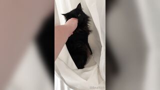 ubeayork (Bea York) OnlyFans Leaks Thick Girl Next Door Porn Video 293