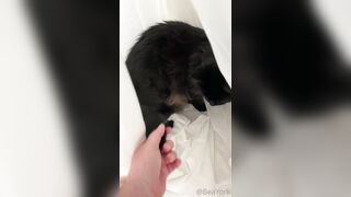 ubeayork (Bea York) OnlyFans Leaks Thick Girl Next Door Porn Video 293