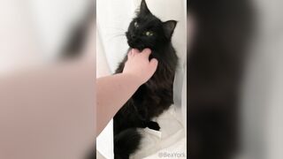 ubeayork (Bea York) OnlyFans Leaks Thick Girl Next Door Porn Video 293