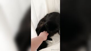 ubeayork (Bea York) OnlyFans Leaks Thick Girl Next Door Porn Video 293