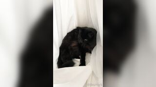 ubeayork (Bea York) OnlyFans Leaks Thick Girl Next Door Porn Video 293