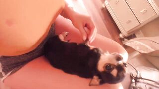 Missbella (Bella Brookz aka Miss Bella aka bellabbz) OnlyFans Leaks Former Camgirl & Erotica Content Creator Video31