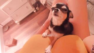 Missbella (Bella Brookz aka Miss Bella aka bellabbz) OnlyFans Leaks Former Camgirl & Erotica Content Creator Video31