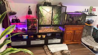 Zeldahyrule (Zelda Hyrule aka xZeldaHyrule) OnlyFans Leaks Feet Fetishy Anime Cosplay Gaming Porn Video 43