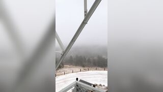 Cremedelapeach (Cream Dela Peach aka Cr3medelapeach) P3aches_n_cream 19 yo Single College Student Porn 13