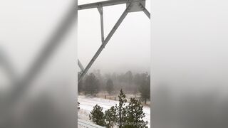 Cremedelapeach (Cream Dela Peach aka Cr3medelapeach) P3aches_n_cream 19 yo Single College Student Porn 13