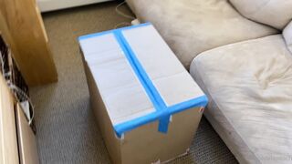 Cremedelapeach (Cream Dela Peach aka Cr3medelapeach) P3aches_n_cream 19 yo Single College Student Porn 134