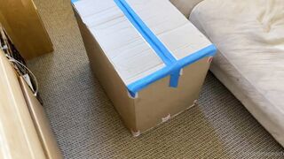 Cremedelapeach (Cream Dela Peach aka Cr3medelapeach) P3aches_n_cream 19 yo Single College Student Porn 134